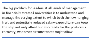 The big problem for leaders at all levels of management in financially stressed universities is to understand and manage the varying extent to which both the low hanging fruit and potentially reduced salary expenditure can keep the ship not only afloat but also ready for the post-crisis recovery, whenever circumstances might allow.